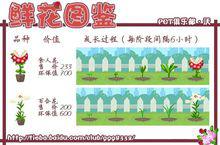 開心寶貝[博雅互動製作網頁遊戲]