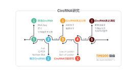 環狀RNA