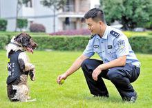 尋血獵犬[名犬]