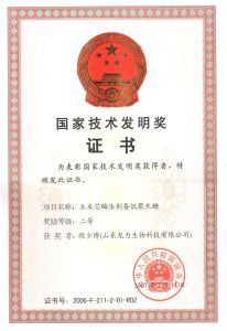 2006國家技術發明獎證書