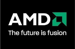 amd[美國超威半導體公司]