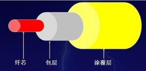 光纖跳線結構圖