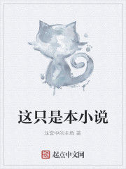 這只是本小說