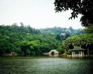 廈門園林植物園