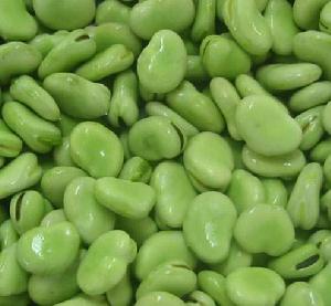 曲瓦鄉出產的蠶豆
