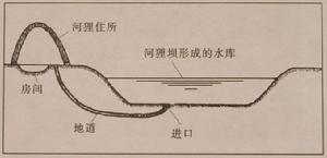 河狸住所位置示意圖