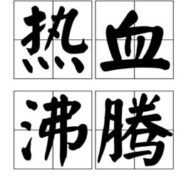 熱血沸騰[詞語]