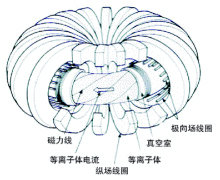 托卡馬克示意圖