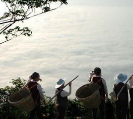 齊岳山