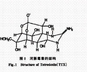 河豚毒素分子結構