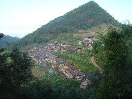 龍塘村[雲南省威信縣麟鳳鄉龍塘村]