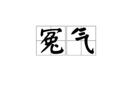 冤氣[詞語釋義]