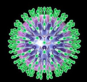 人巨細胞病毒