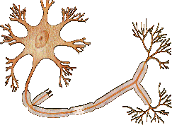 新生兒缺氧缺血性腦病