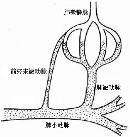 高原適應不全症