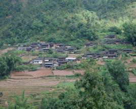 荒田自然村[雲南臨滄雲縣大朝山西鎮背陰寨村荒田自然村]