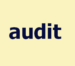 Audit