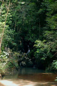 黃花村景照