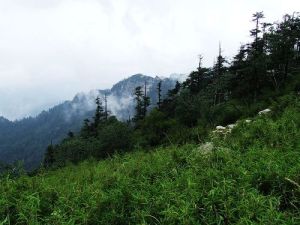 觀音山國家級自然保護區