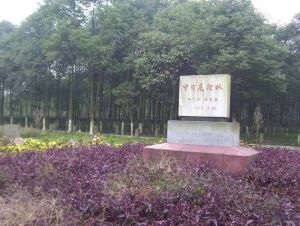 劍南春森林公園