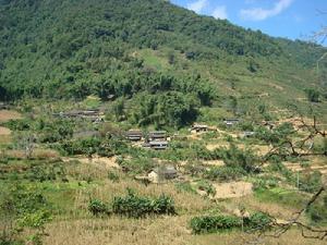 響水自然村[雲南臨滄永德縣大山鄉籠楂村委會響水自然村]