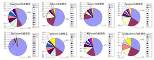 烏茲別克族基因更正