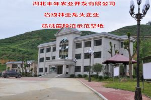 核桃苗種植示範基地辦公大樓