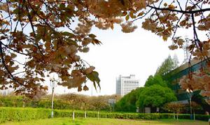 南京郵電大學圖書館