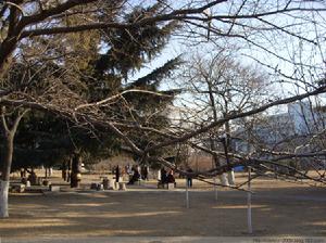 文化公園景色