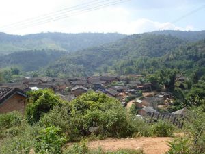 大新寨二村