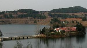 岳溪村[廣東省汕尾市陸河縣河田鎮岳溪村]