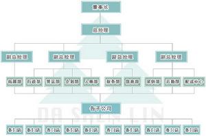 廣東大參林連鎖藥店有限公司組織機構圖