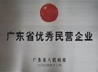 2006年獲得“廣東省優秀民營企業”稱號