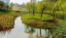 木魚湖濕地公園