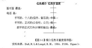 媒介豐富性理論