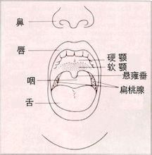 口咽癌