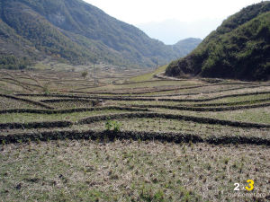 郭家泉村