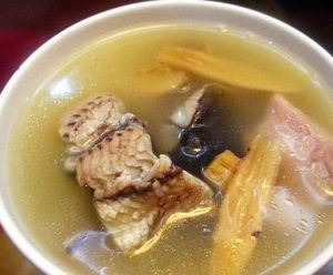 冬瓜鱔魚湯