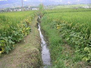 農田水利建設