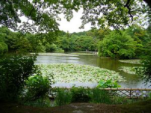 龍安寺  鏡容池