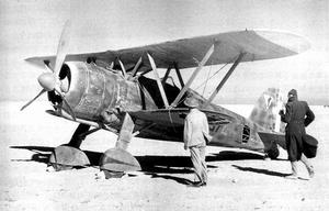 沙漠中的意軍 CR.42 戰鬥機