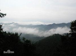 太華山[廣東省信宜市山峰]