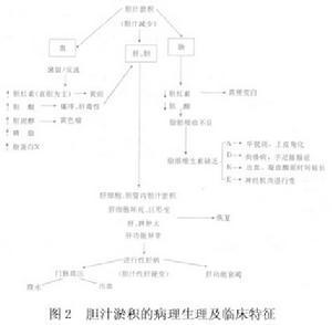 新生兒遷延性膽汁淤積性黃疸