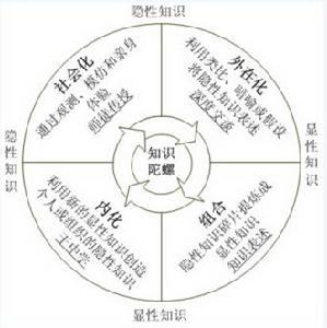 知識內化