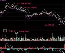 股指期貨持倉