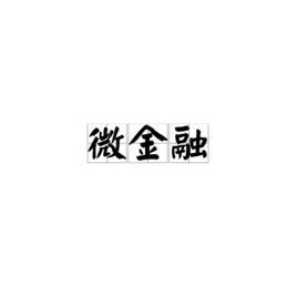 微金融[漢語詞語]