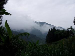 雅雨