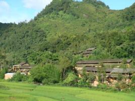 硝硐村[雲南文山州馬關縣大栗樹鄉下轄村]