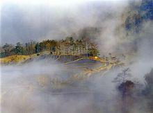 紅河哈尼梯田風景