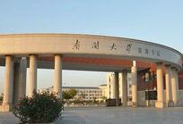 南開大學濱海學院